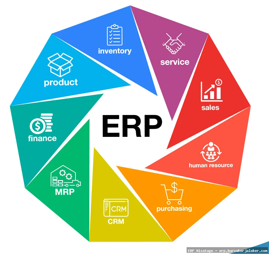 Enterprise Resource Planning Systems: Complete Guide, Features and Details Enterprise Resource Planning Systems: Complete Guide, Features and Details