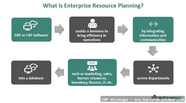 Enterprise resource planning systems overview