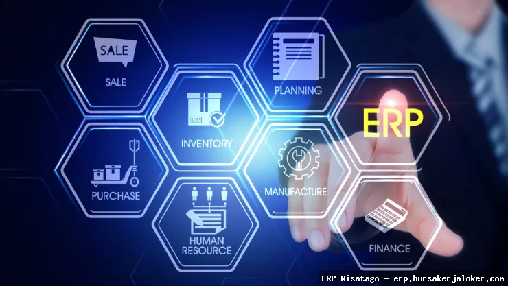 Here are a few options, keeping in mind a variety of image possibilities: Enterprise resource planning systems overview Streamlining with enterprise resource planning Enterprise resource planning systems software Visualizing enterprise resource planning systems