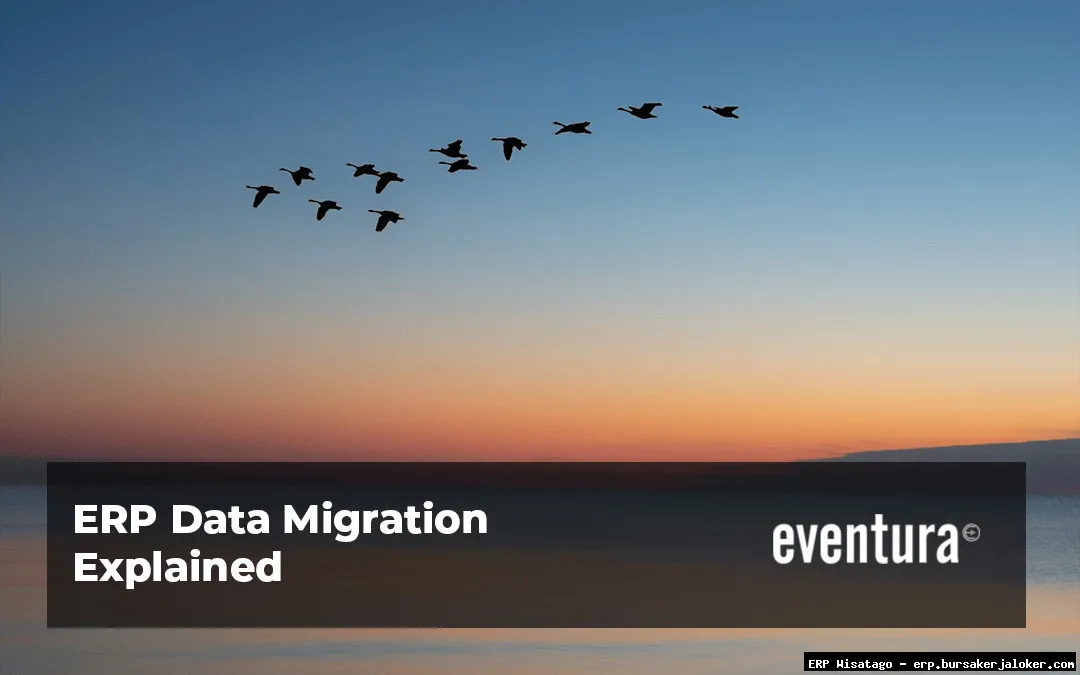 ERP Data Migration: Complete Guide, Features and Details
