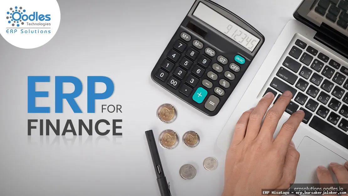 ERP for financial reporting success