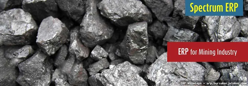 ERP for mining companies: Streamlined operations