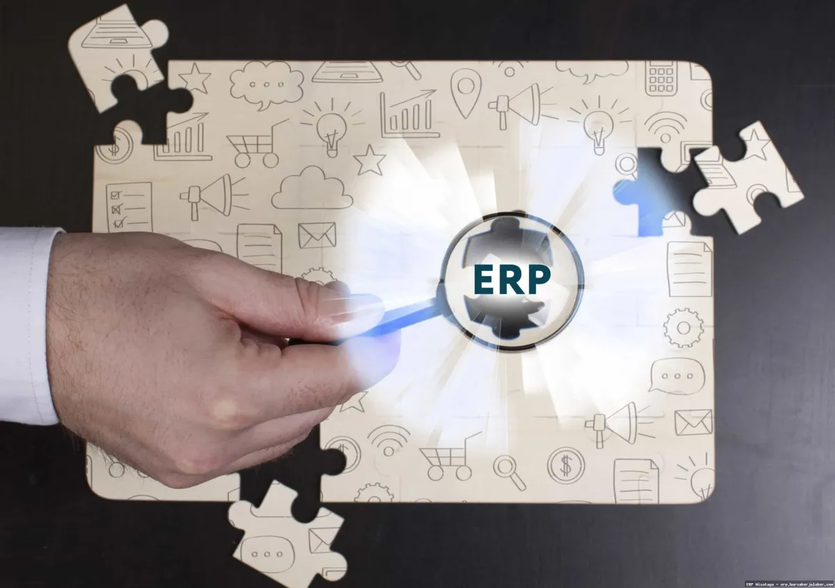 ERP for multinational companies: Global solution.
