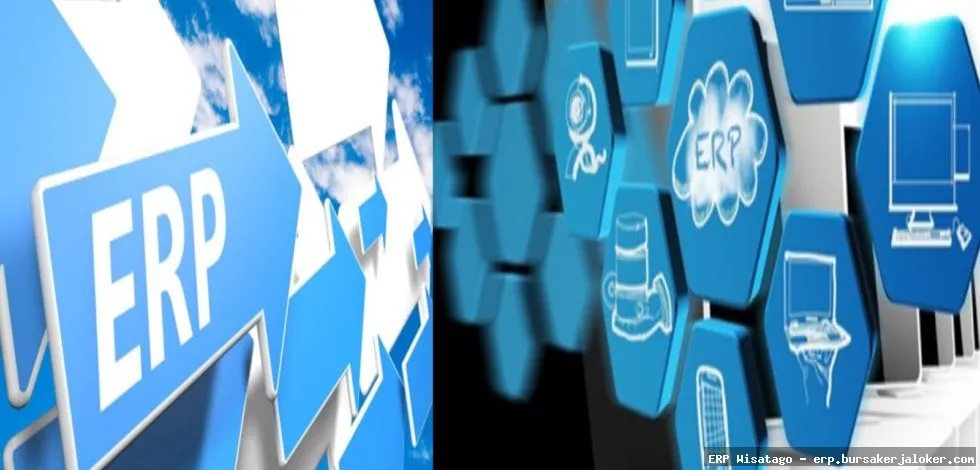ERP project management software demo