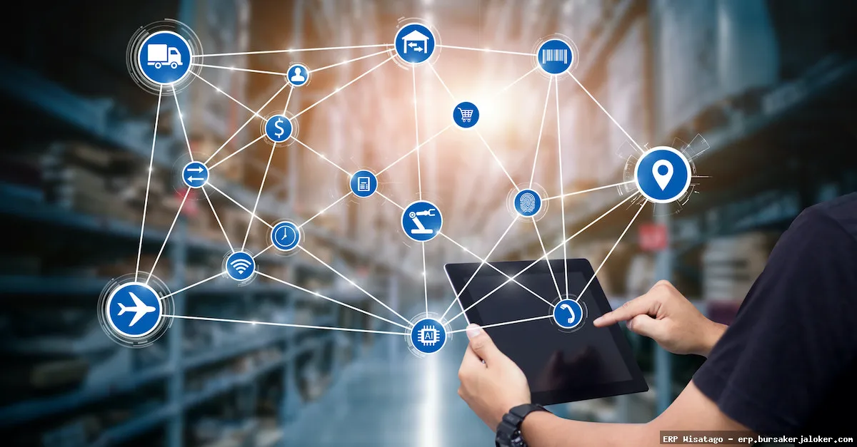 ERP software for distribution companies.