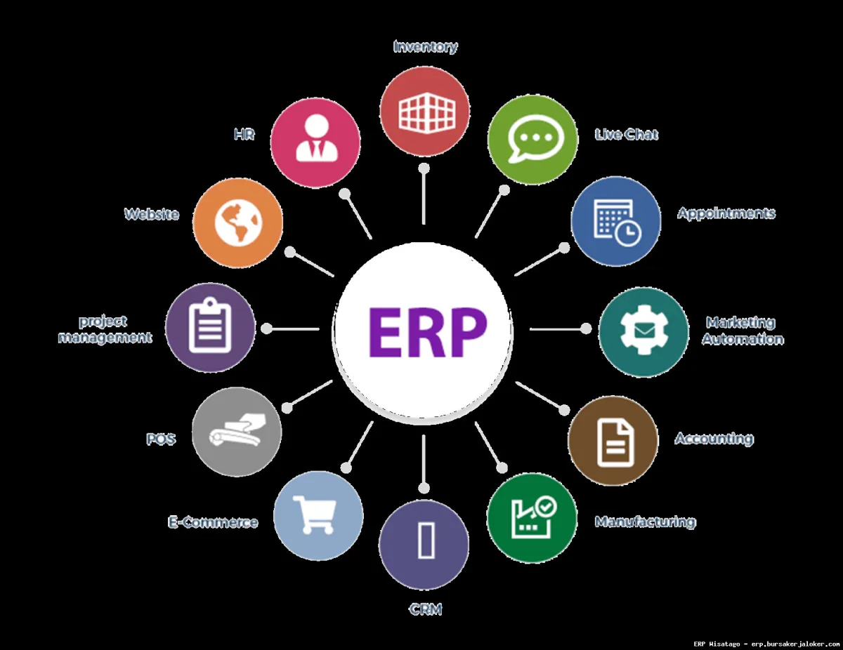 ERP software for finance management