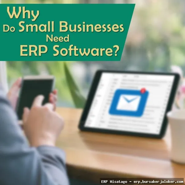ERP Software For Small Business: Complete Guide, Features and Details ERP Software For Small Business: Complete Guide, Features and Details